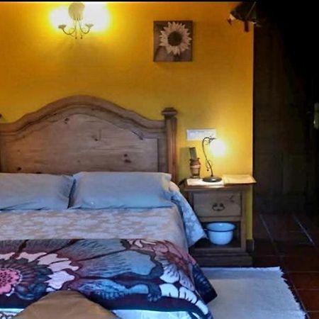 Villademar El Perlindango (Adults Only) 게스트하우스 외부 사진